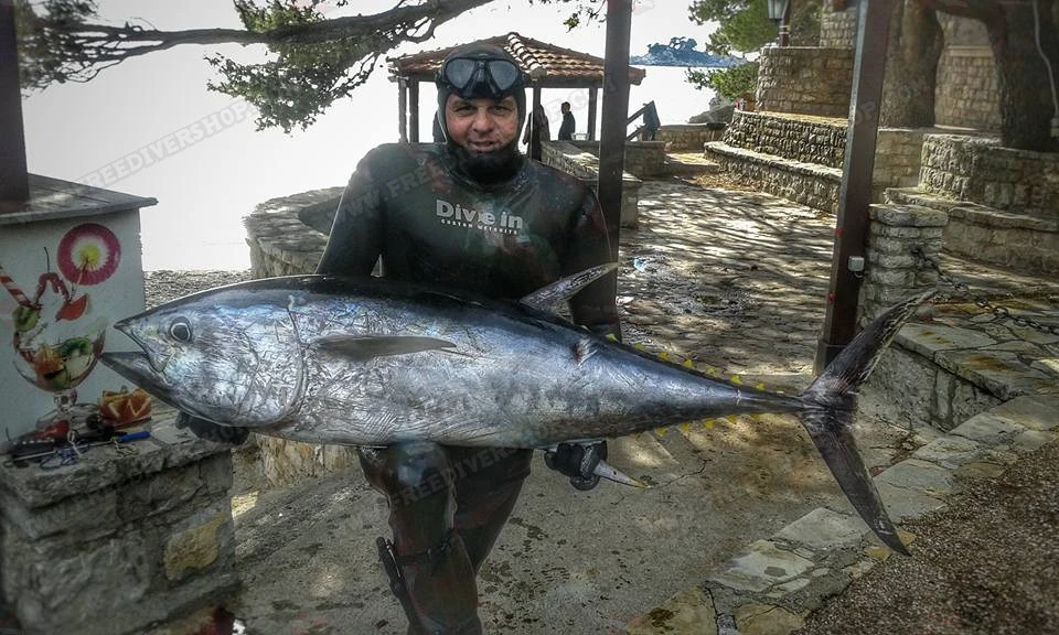 Divein Lissico Smoothskin Camouflage - Tailor Made Wetsuit 11 Divein Lissico Smoothskin Camouflage - Tailor Made Wetsuit - Image 11