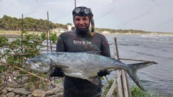 Divein Lissico Smoothskin Camouflage - Tailor Made Wetsuit 21 Divein Lissico Smoothskin Camouflage - Tailor Made Wetsuit -Diving Supplies Store 13062901 1092811287447877 6155794338640859448 o 1