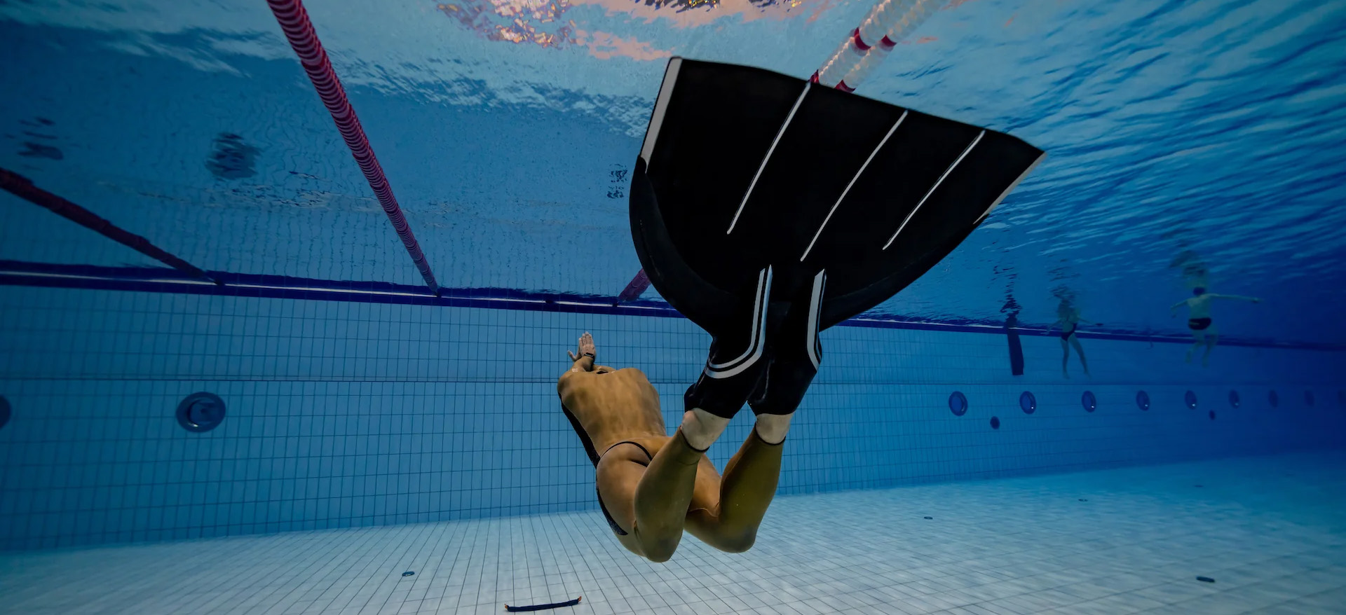 Diving Supplies Store -Diving Supplies Store 2