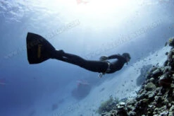 Leaderfins Hyper Monofin + Socks 18 Leaderfins Hyper Monofin + Socks -Diving Supplies Store 283 513 thickbox 1