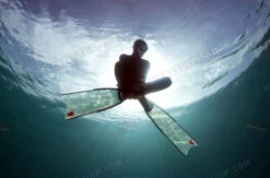 Leaderfins Ice Fins 25 Leaderfins Ice Fins -Diving Supplies Store 347 508 thickbox