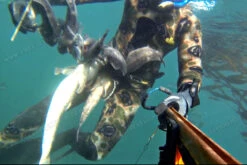 Elios Classic Brown Hydro Camouflage Wetsuit 11 Elios Classic Brown Hydro Camouflage Wetsuit -Diving Supplies Store alcatch