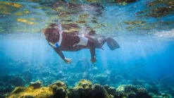 Ameo Powerbreather - Wave Edition -Diving Supplies Store atm shop m11 1 1