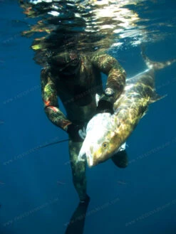 Elios Smoothskin Benthos Camouflage Wetsuit -Diving Supplies Store benthos usashop 2