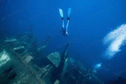 WaterWay Capt. Nemo Deep Blue Power Fins 24 WaterWay Capt. Nemo Deep Blue Power Fins -Diving Supplies Store blue fins 0991 1