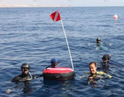 Apneautic Freediving Buoy Maxi -Diving Supplies Store bouy in water 1