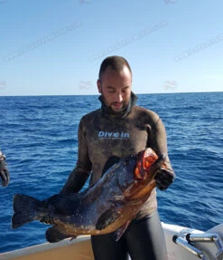 Divein Spaccato Green - Tailor Made Wetsuit 9 Divein Spaccato Green - Tailor Made Wetsuit -Diving Supplies Store cp 022 1