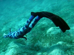 Elios Corifena Camouflage - Tailor Made Wetsuit -Diving Supplies Store elioscorifena4 1