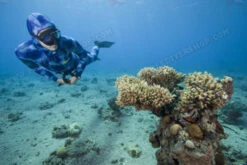 Elios Corifena Camouflage - Tailor Made Wetsuit -Diving Supplies Store elioscorifena6 1