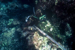 Elios Mimetic Camouflage Wetsuit -Diving Supplies Store file 10 4