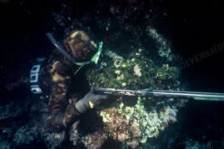 Elios Mimetic Camouflage Wetsuit -Diving Supplies Store file 1 1 4