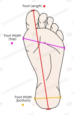 GoldFin Freediving Hyper Monofin 25 GoldFin Freediving Hyper Monofin -Diving Supplies Store foot vector