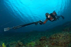 Divein Combo Red Camouflage - Tailor Made Wetsuit -Diving Supplies Store frk 94581 1