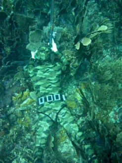 Elios Shaca / Marrone Camouflage - Tailor Made Wetsuit -Diving Supplies Store image2 1 3