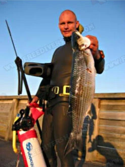 Elios Smoothskin Black - Tailor Made Wetsuit 22 Elios Smoothskin Black - Tailor Made Wetsuit -Diving Supplies Store image39 4