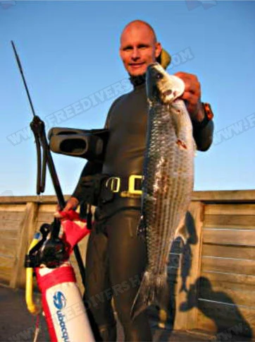 Elios Smoothskin Black - Tailor Made Wetsuit 10 Elios Smoothskin Black - Tailor Made Wetsuit - Image 10