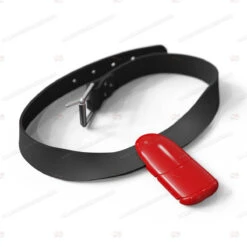 Lobster Freediving Weight Belt Set -Diving Supplies Store lobster belt set red1 1