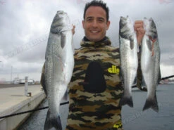 Elios Shaca / Marrone Camouflage Wetsuit -Diving Supplies Store mimetico marrone 7mm