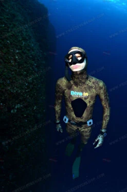 Divein Spaccato Green Wetsuit 8 Divein Spaccato Green Wetsuit -Diving Supplies Store rsm 8079pc 1