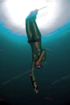 Elios Superskin Competitor - Tailor Made Wetsuit -Diving Supplies Store unnamed 1